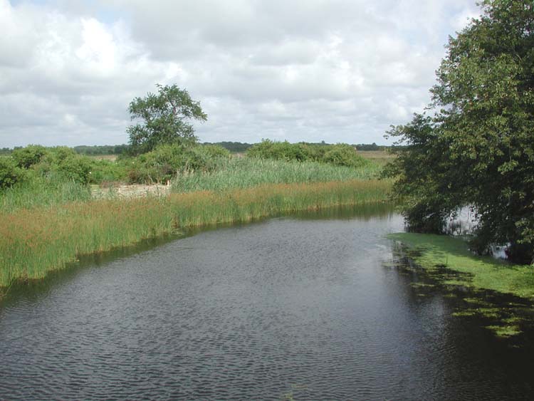 River at Dwyer Farm 2.jpg 65.4K